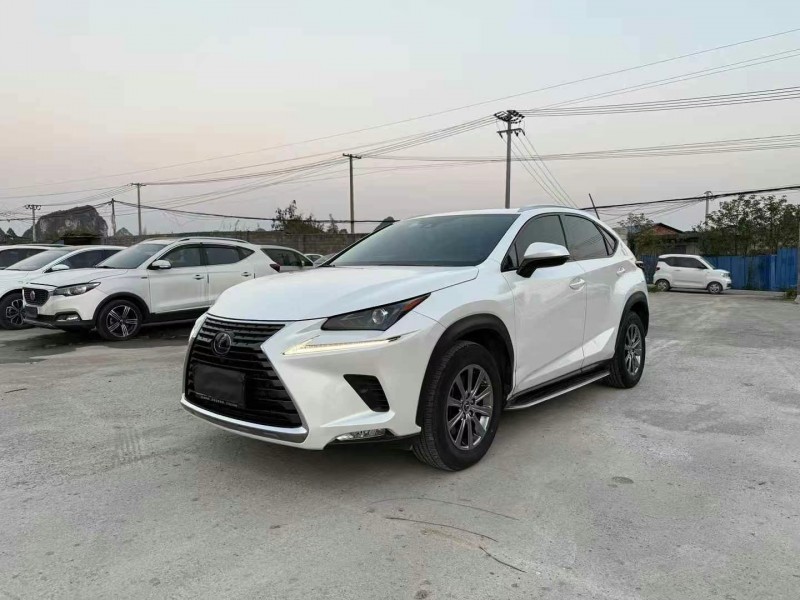 广州19年雷克萨斯NX2