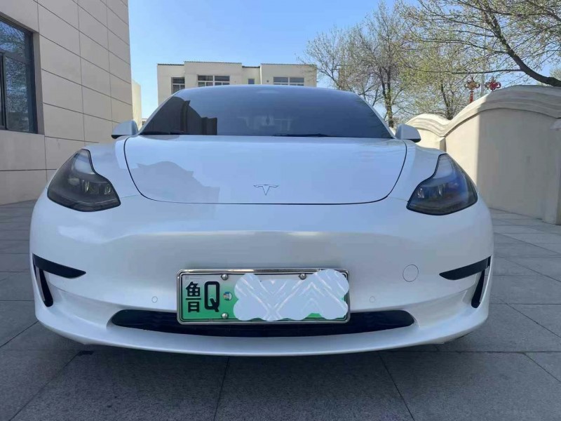 保定21年特斯拉MODEL 31