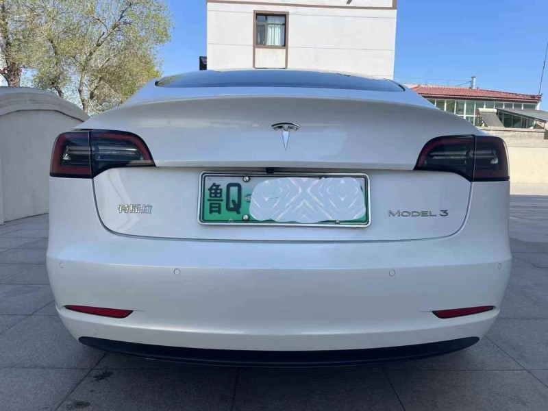 保定21年特斯拉MODEL 39