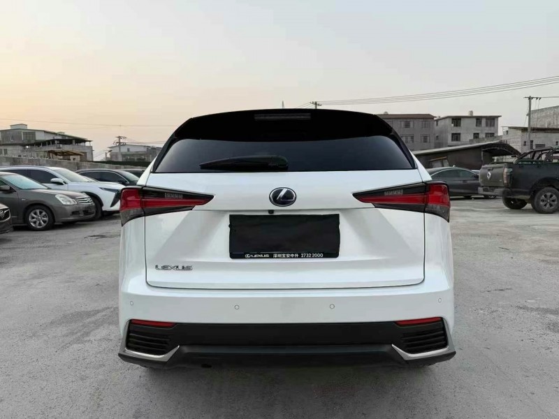 广州19年雷克萨斯NX9