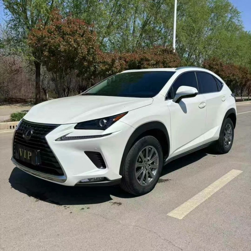 济宁19年雷克萨斯NX2