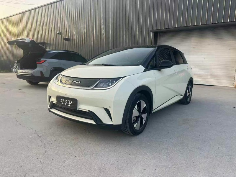 徐州23年比亞迪海豚3