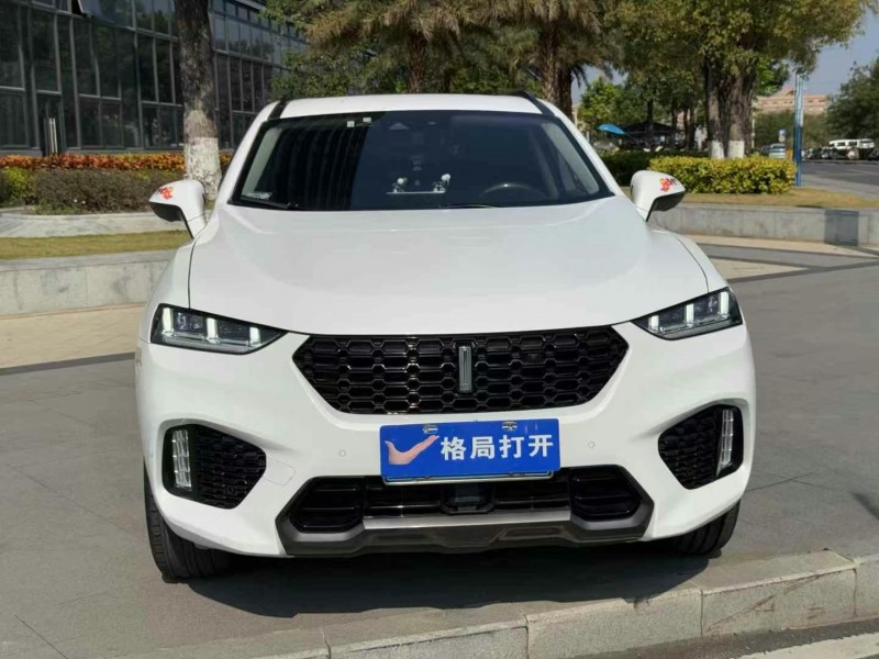 東莞19年長城汽車WEY1