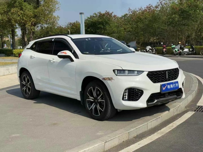 東莞19年長城汽車WEY2