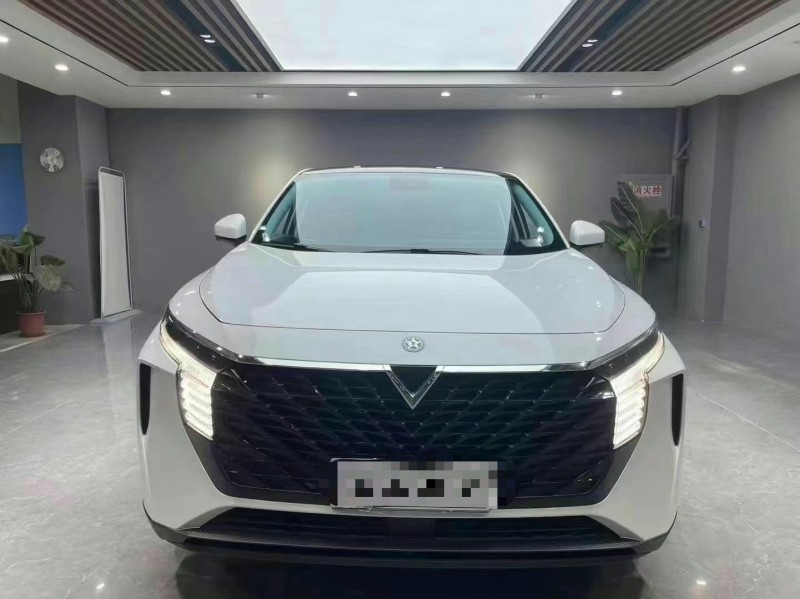 成都23年啟辰大V1