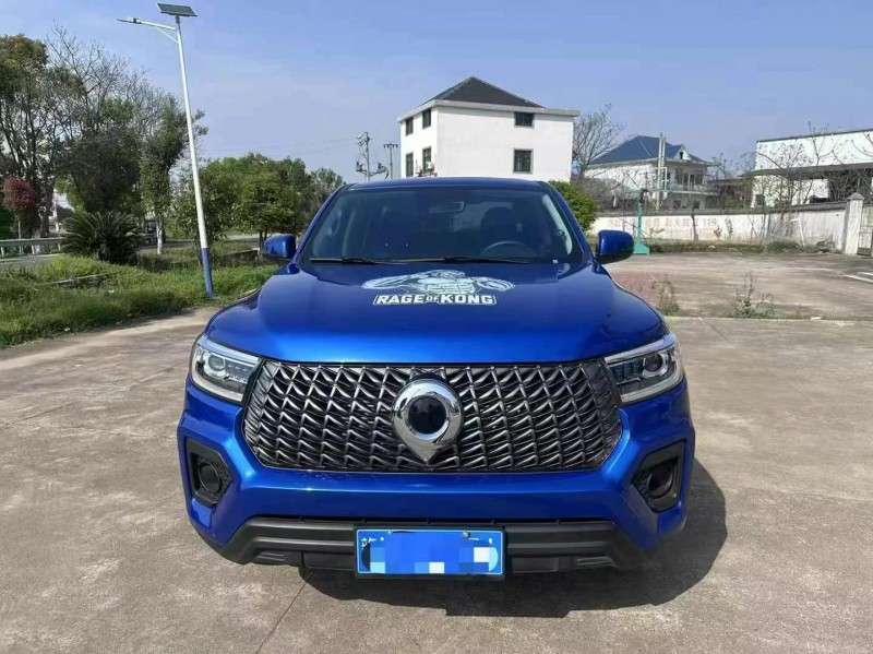 新余24年長城汽車炮 皮卡1