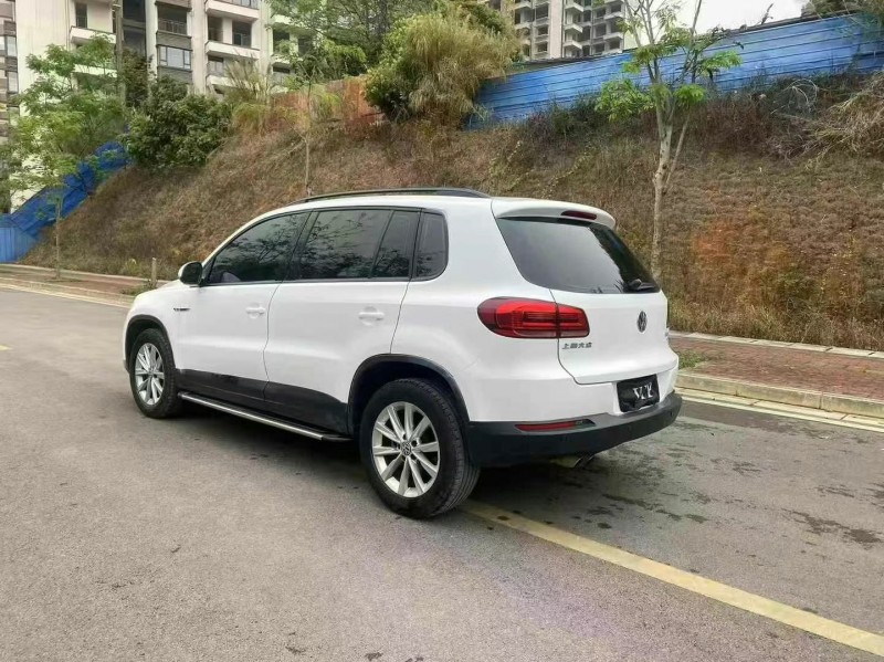 南寧16年大眾途觀7