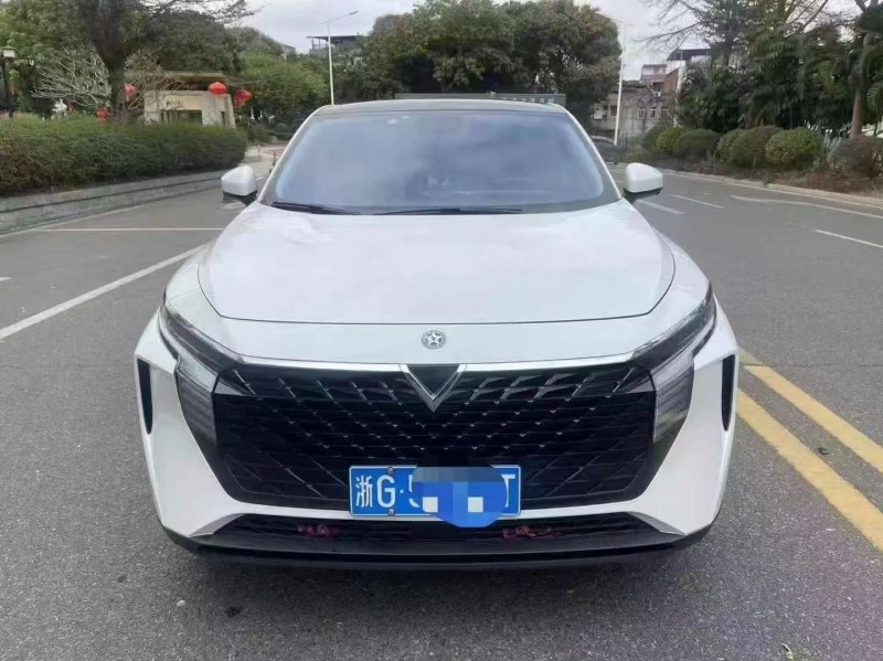 廣州23年啟辰大V1