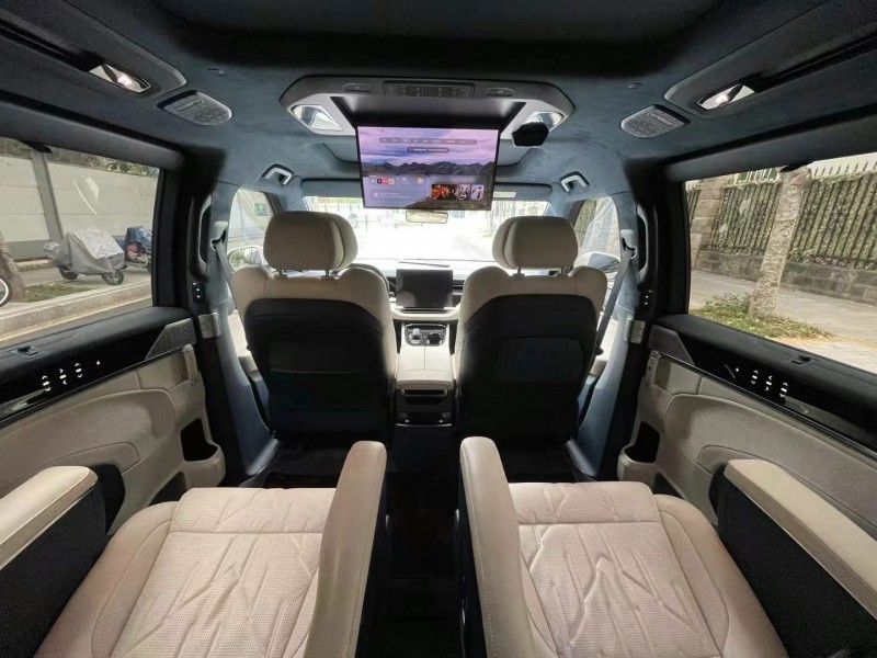 廣州24年極氪汽車X5