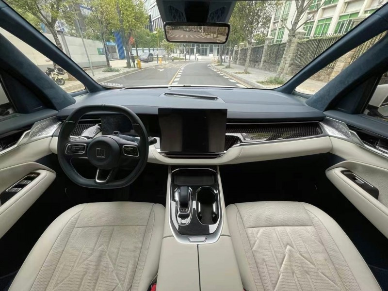 廣州24年極氪汽車X6