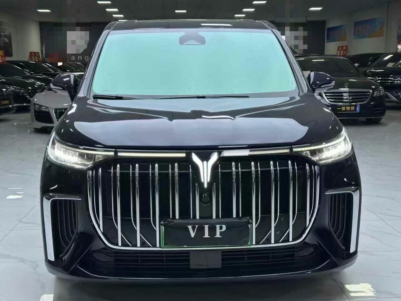 廊坊24年嵐圖汽車夢想家1