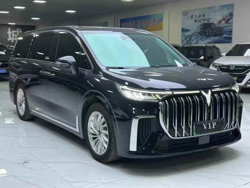 廊坊24年嵐圖汽車夢想家3