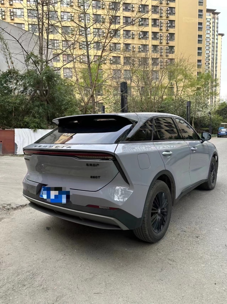 成都22年啟辰大V9