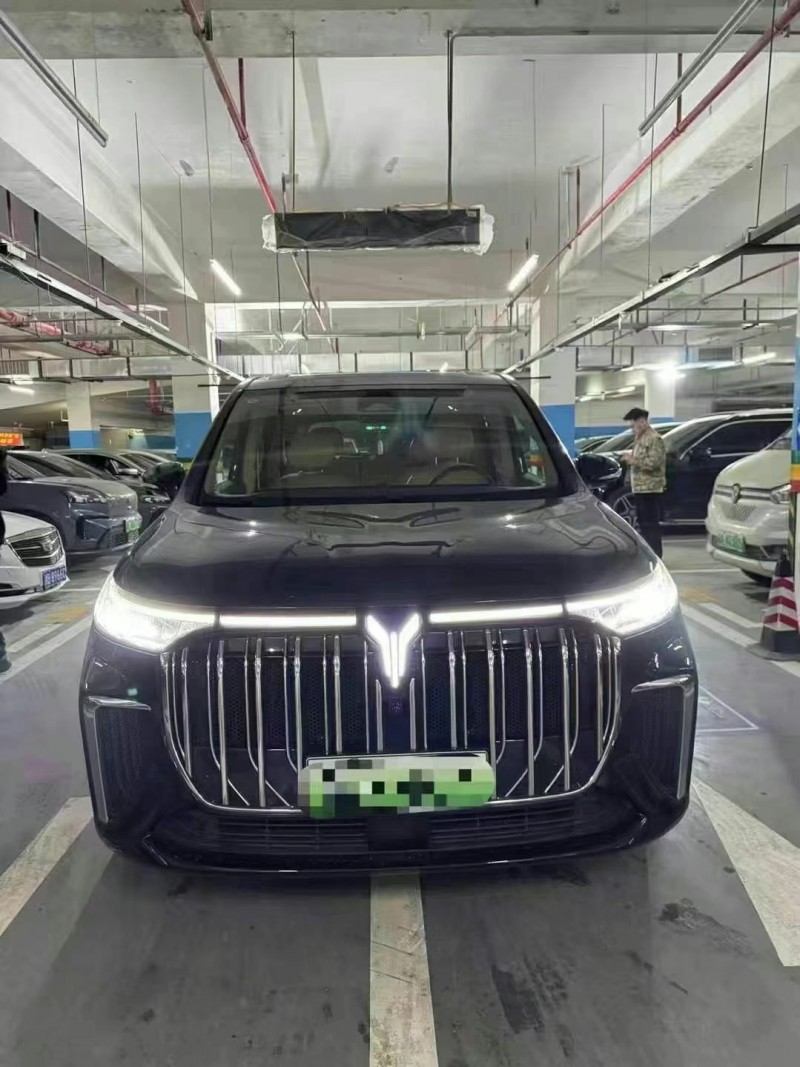 重慶24年嵐圖汽車夢想家1