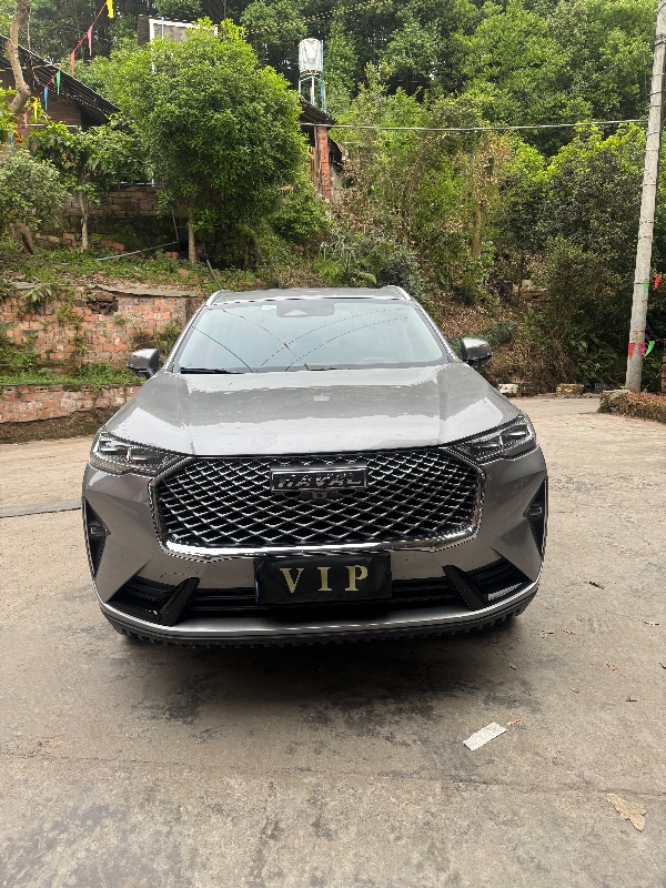 樂山24年哈弗H61