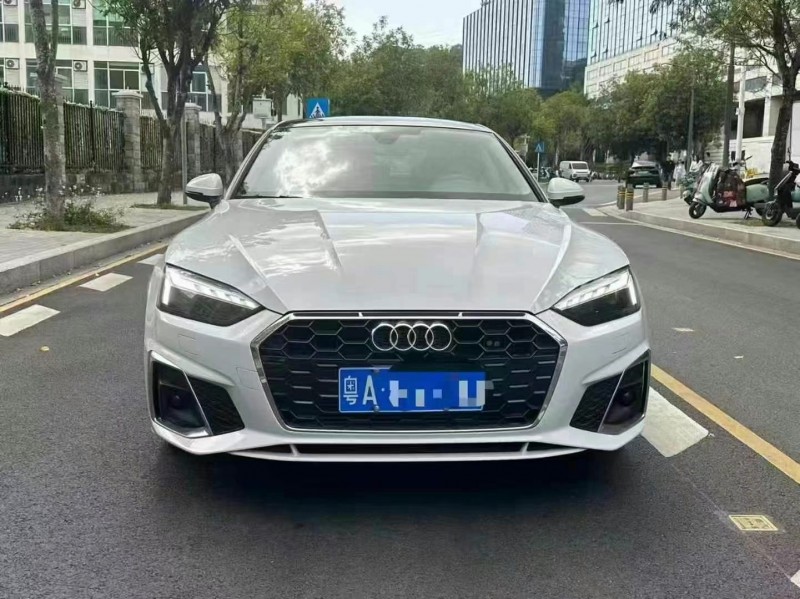 广州23年奥迪A51