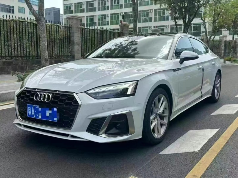 广州23年奥迪A52