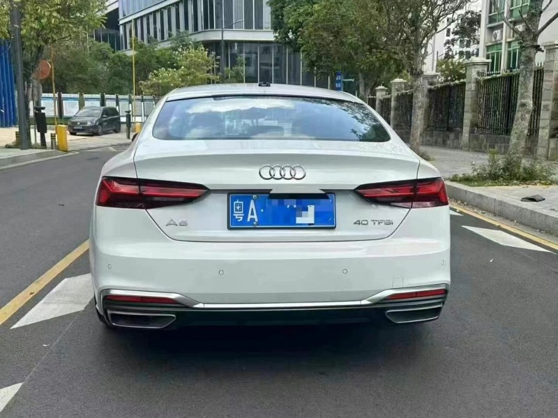 广州23年奥迪A59