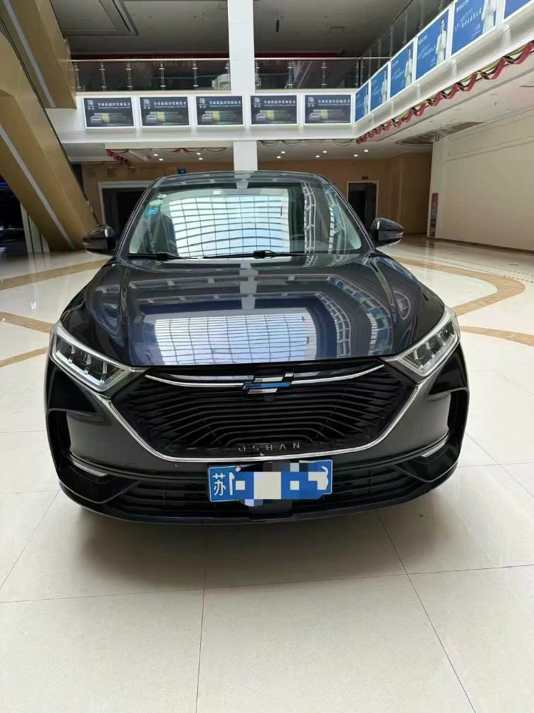 合肥20年長安汽車歐尚1