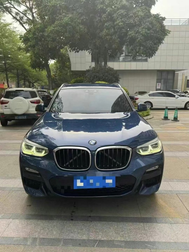 广州19年宝马X31