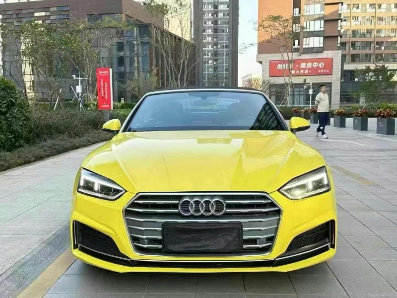 广州19年奥迪A51