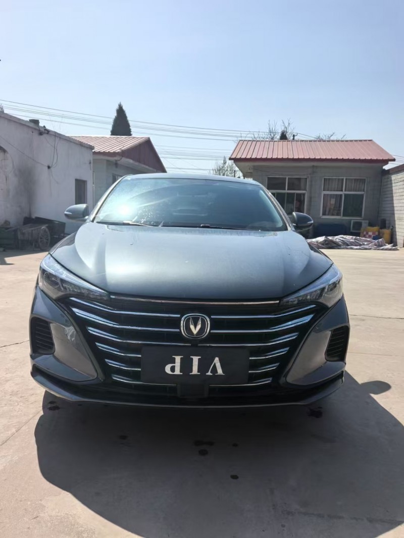 大同23年長安汽車逸動1