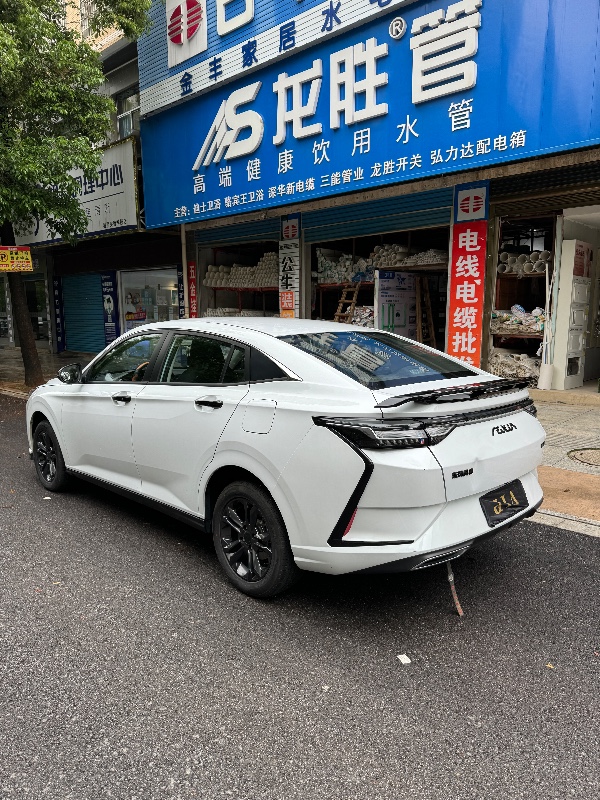 婁底24年東風奕炫8