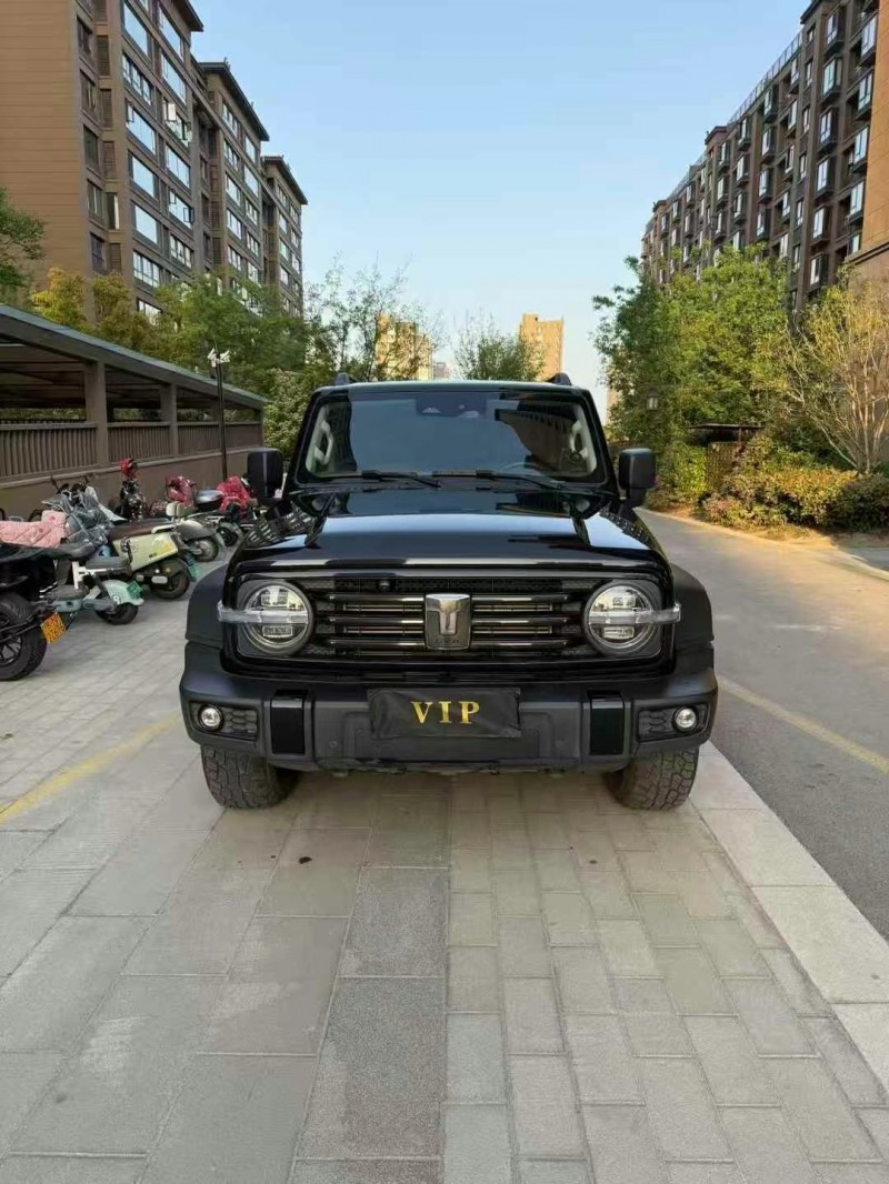 徐州23年長城汽車坦克1