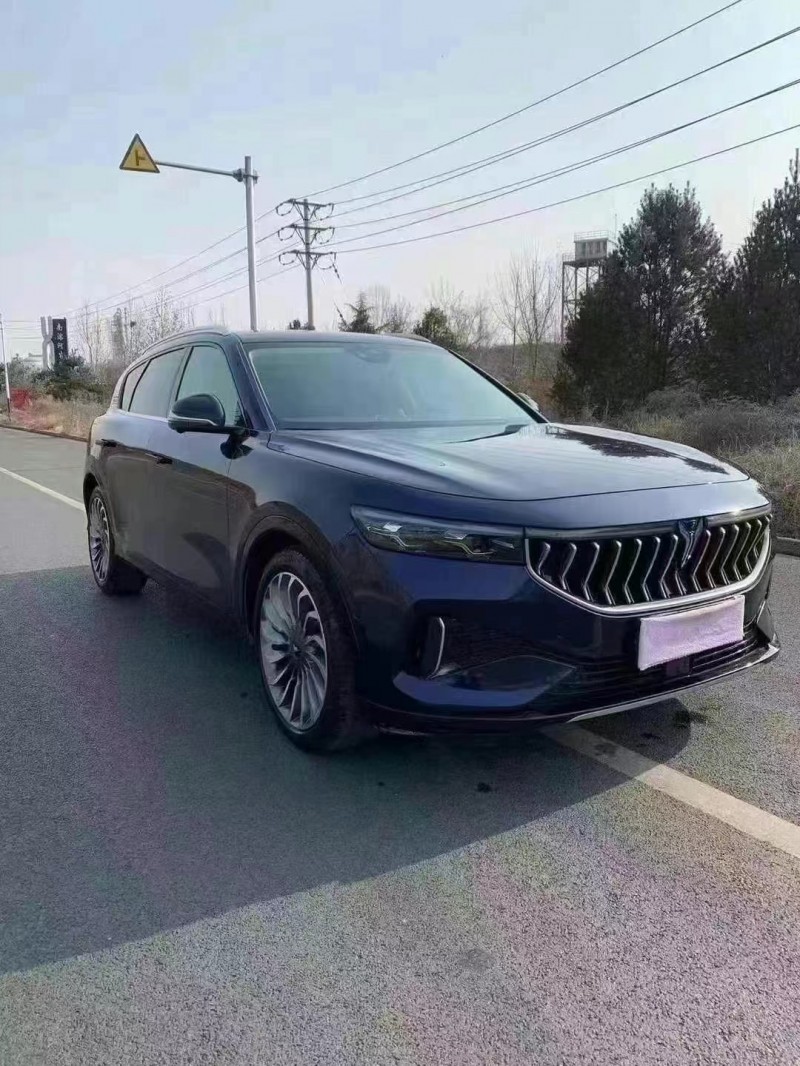 邯鄲22年嵐圖汽車FREE3