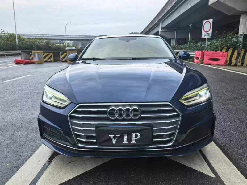 广州18年奥迪A51