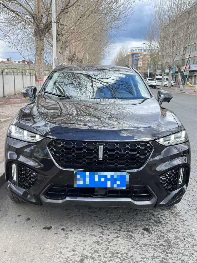 哈爾濱19年長城汽車WEY1