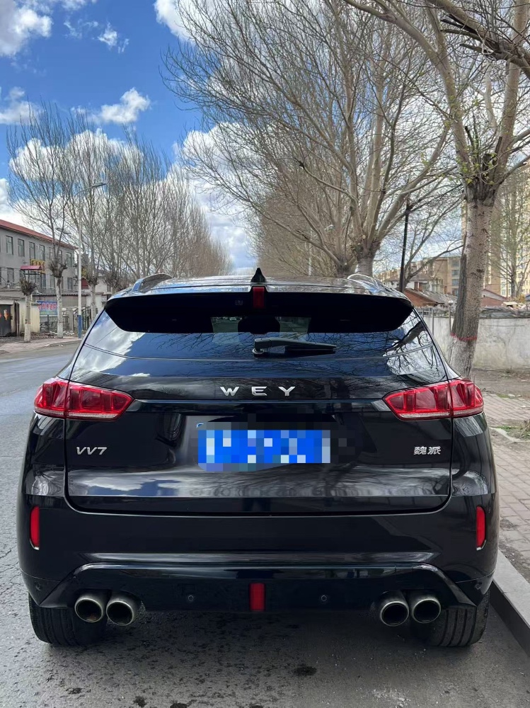 哈爾濱19年長城汽車WEY2