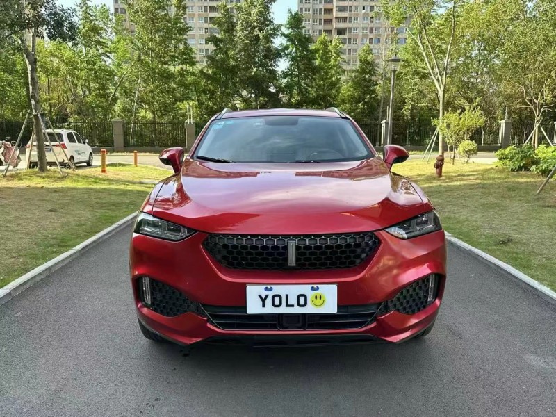 徐州17年長城汽車WEY1