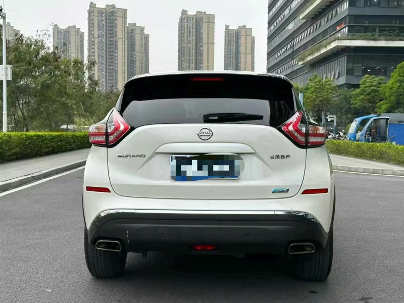東莞21年日產樓蘭9