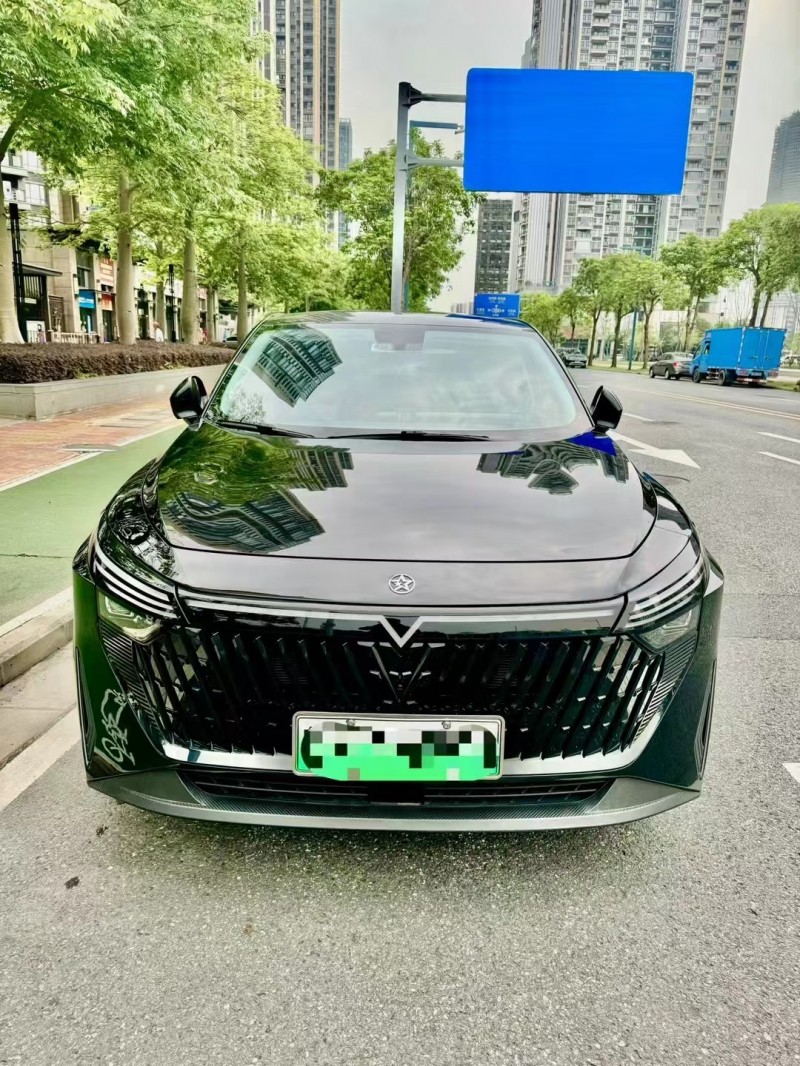 廣州24年啟辰大V1