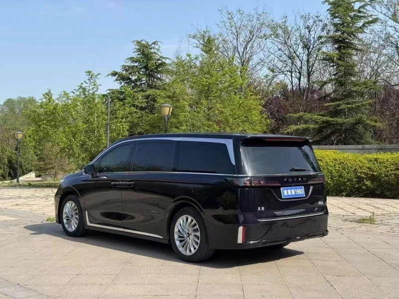 濰坊23年嵐圖汽車夢想家8