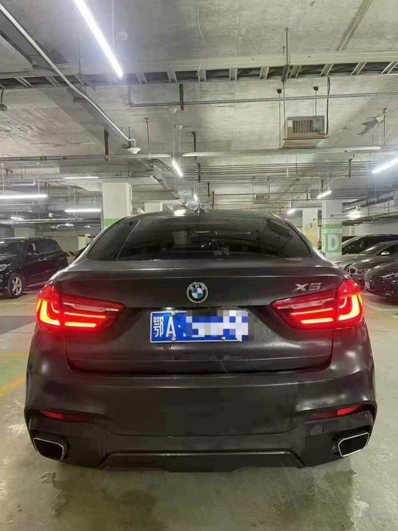 成都19年寶馬X66