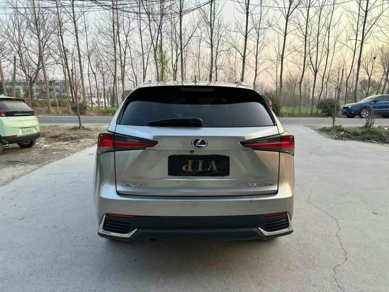 徐州21年雷克萨斯NX9