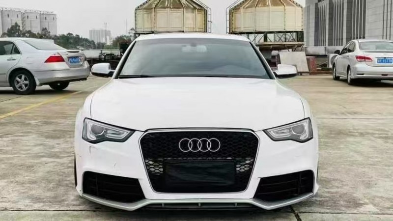 东莞13年奥迪A51