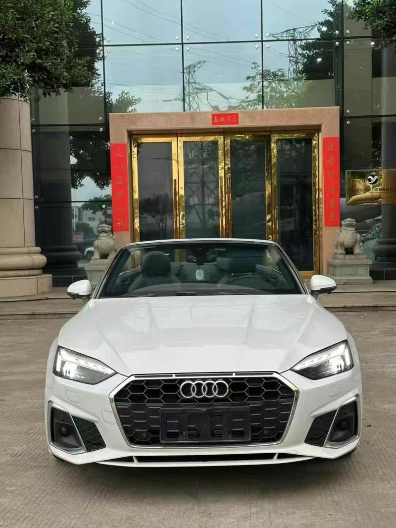 广州22年奥迪A51