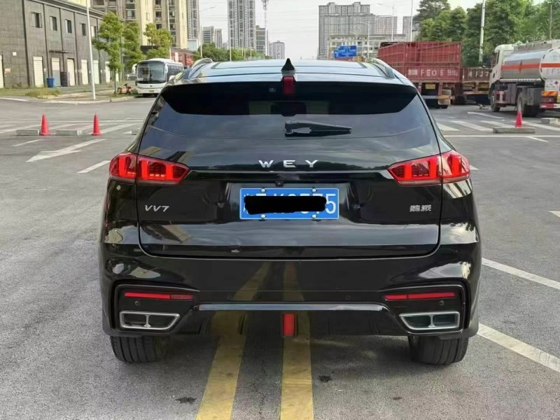 張家界19年長城汽車魏牌9