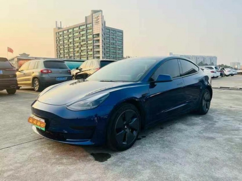 東莞21年特斯拉MODEL 32