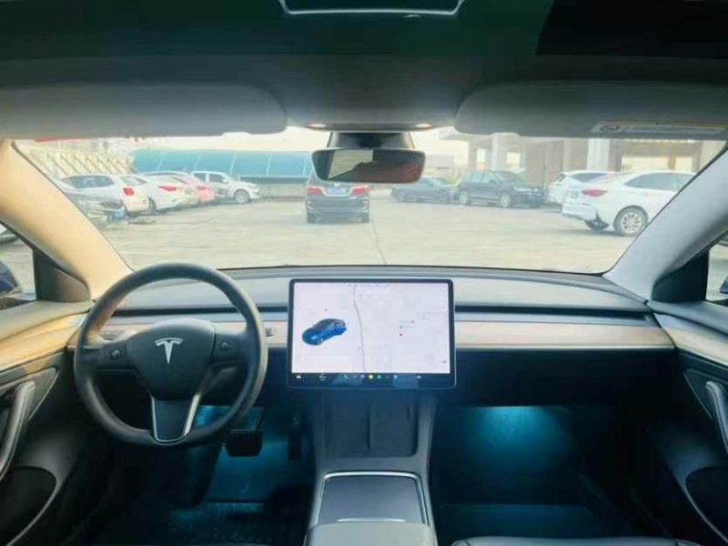 東莞21年特斯拉MODEL 37