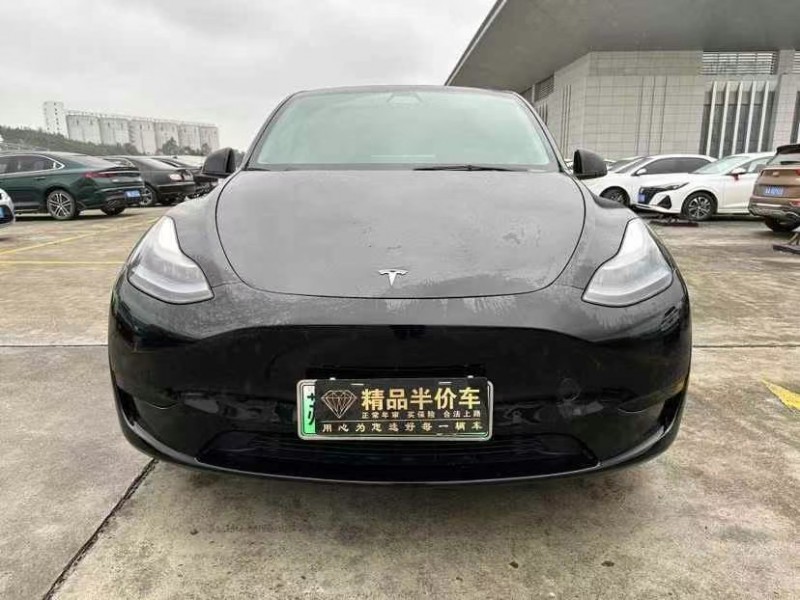 廣州22年特斯拉MODEL Y1