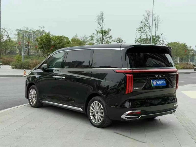 東莞25年長城汽車魏牌9