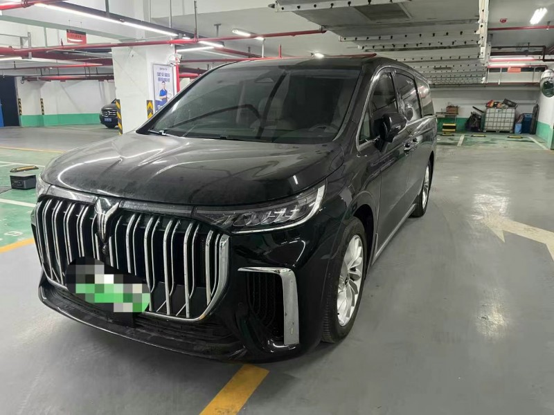 常州24年嵐圖汽車夢想家2