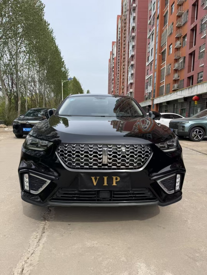 邢臺20年長城汽車WEY1