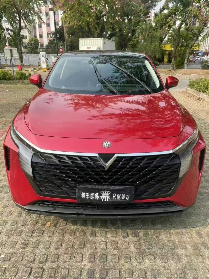 東莞22年啟辰大V1