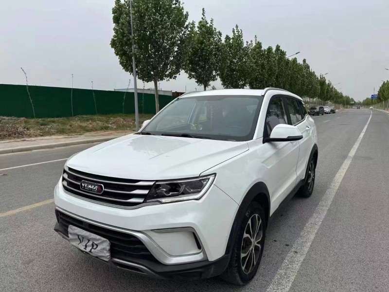 鄭州20年野馬汽車博駿3