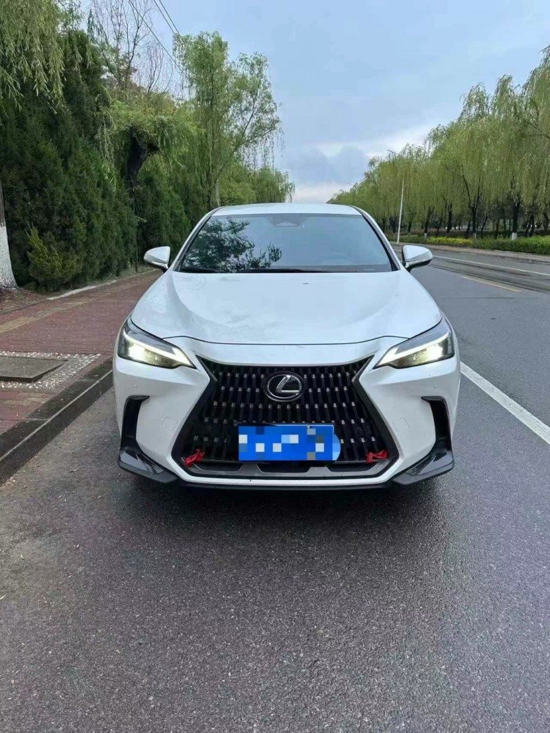 济宁23年雷克萨斯NX1